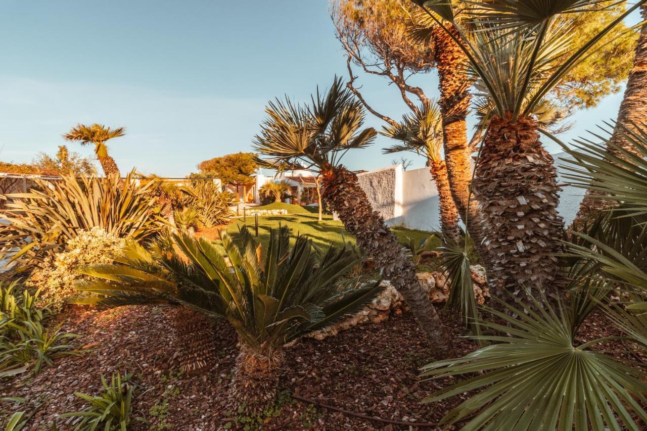 Echi Di Puglia Marsento Bed & Breakfast Polignano a Mare Dış mekan fotoğraf